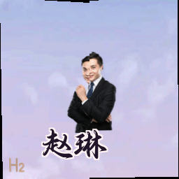 赵琳